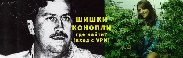 ПСИЛОЦИБИНОВЫЕ ГРИБЫ Белоозёрский